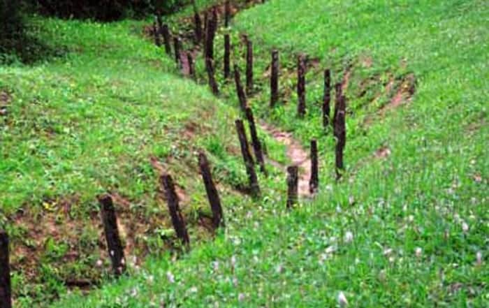 Teilhard_Tranchée_Douaumont