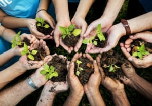 Préférences apostoliques universelles Ecologie Maison commune