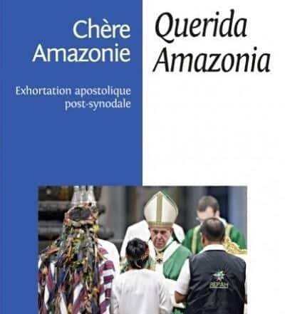 Querida Amazonia pape