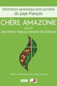 Chère Amazonie 2