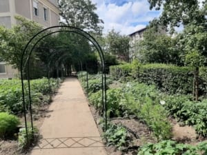 Jardin de Vanves, un lieu vert.