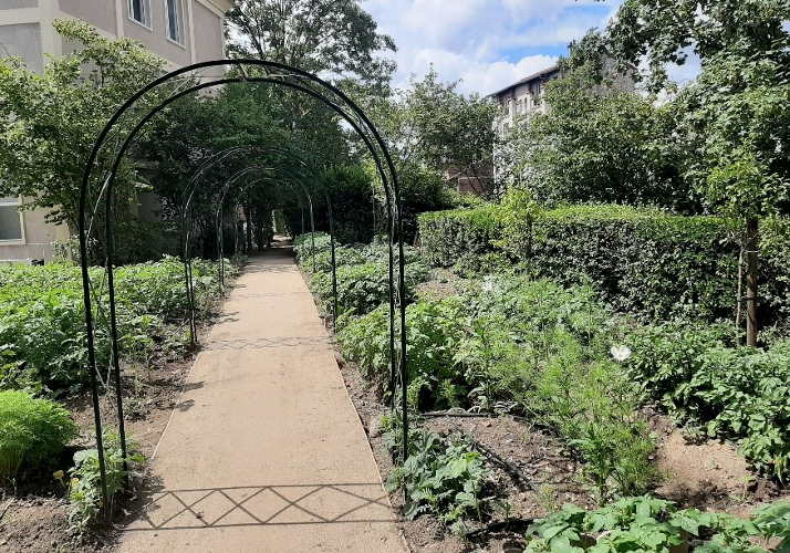 Jardin de Vanves, un lieu vert.