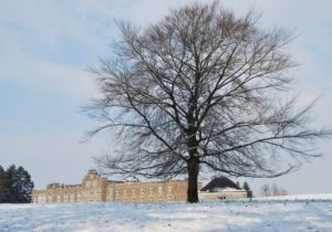 Pairelle Belgique neige