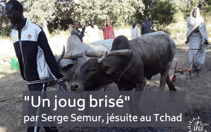un joug brise - par serge semur - jesuite au tchad