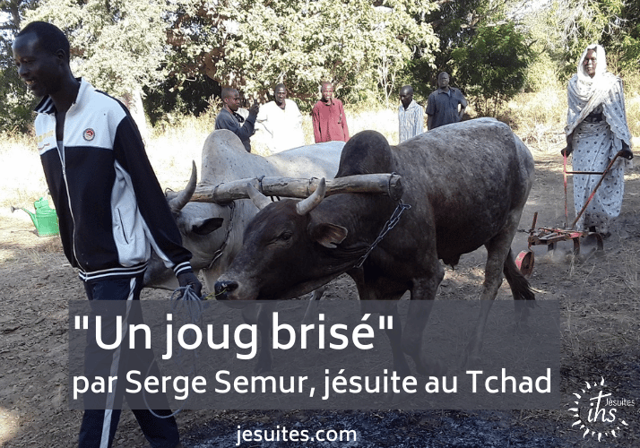 un joug brise - par serge semur - jesuite au tchad