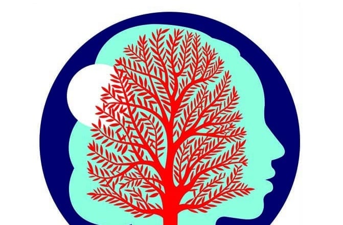 ecologie et spiritualite - revue etudes - jesuite