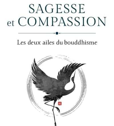 sagesse et compassion - les deux ailes du bouddhisme jacques scheuer