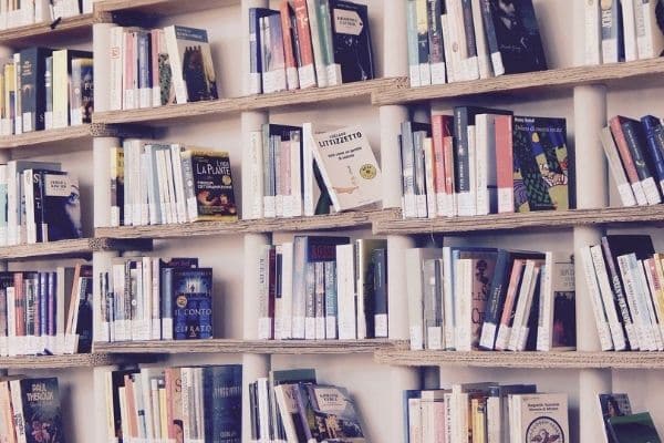 Livres visuels