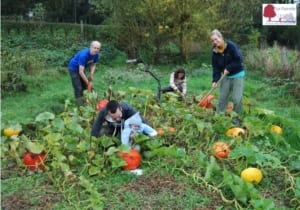 retraite en famille dans le potager - La Pairelle centre spi