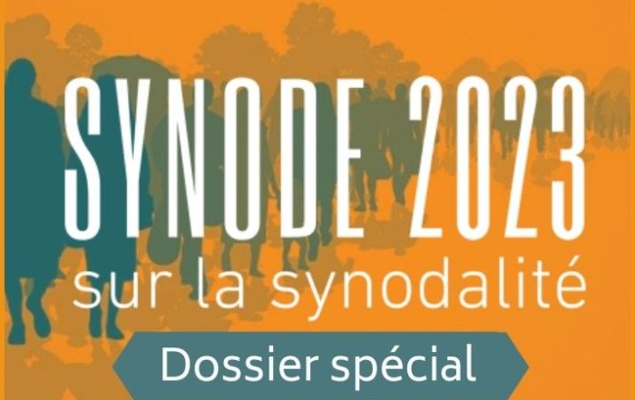 synode sur la synodalite - dossier special des jesuites