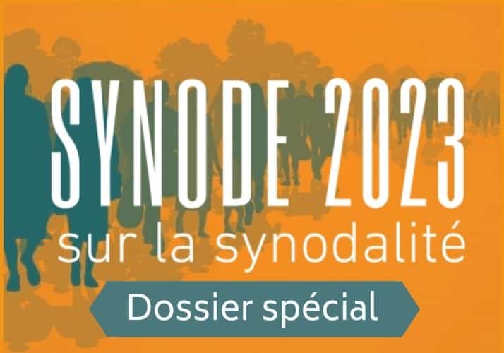 en vue du synode sur la synodalite - dossier special des jesuites