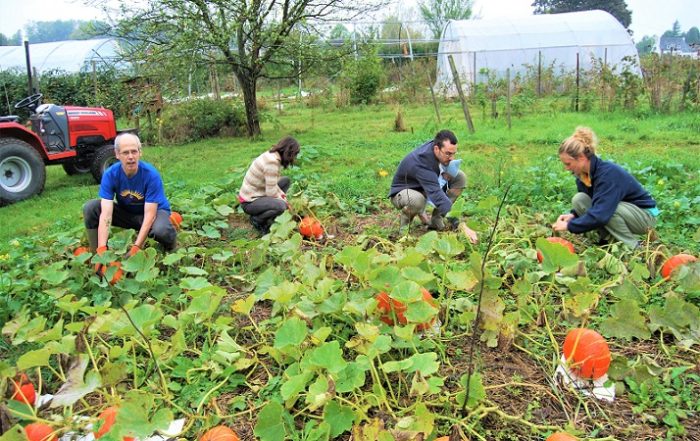 Potager du centre spirituel La Pairelle, Namur, Belgique