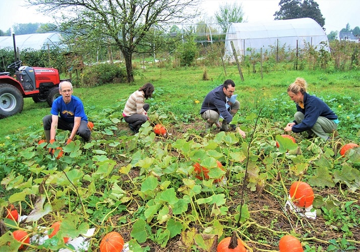 Potager du centre spirituel La Pairelle, Namur, Belgique