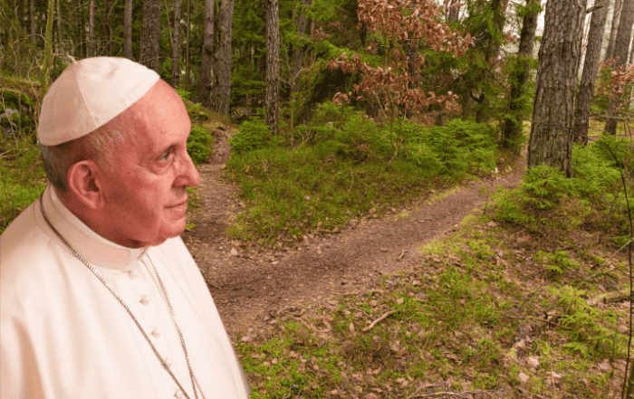 catechese du pape francois sur le discernement jesuite ignatien
