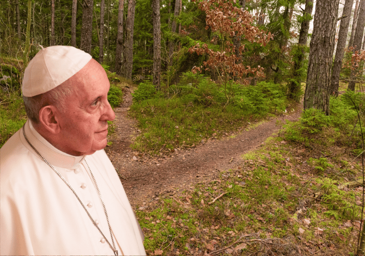 catechese du pape francois sur le discernement jesuite ignatien