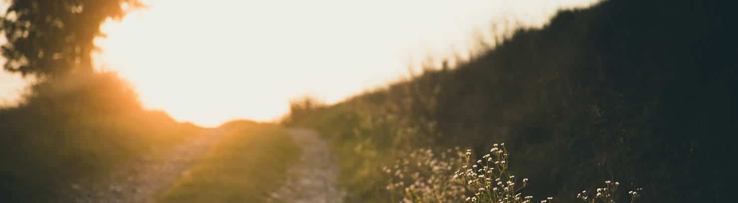 appel à témoignage chemin large2 header