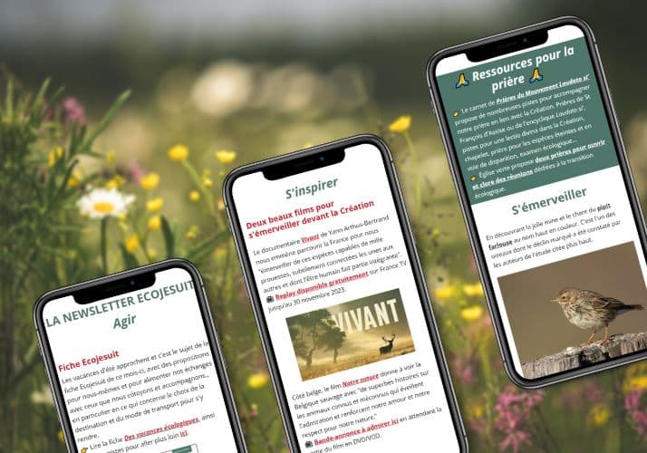 s'abonner à la newsletter ecojesuit