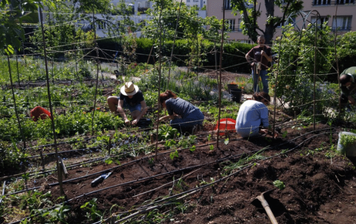 potager Vanves