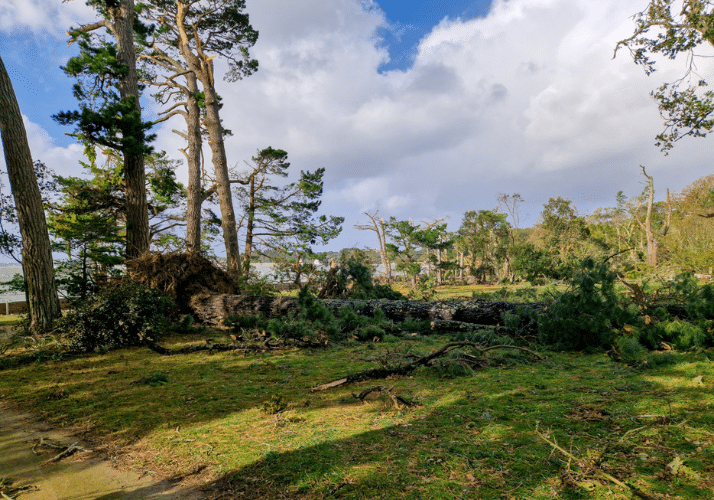 Tempête Penboc'h 4